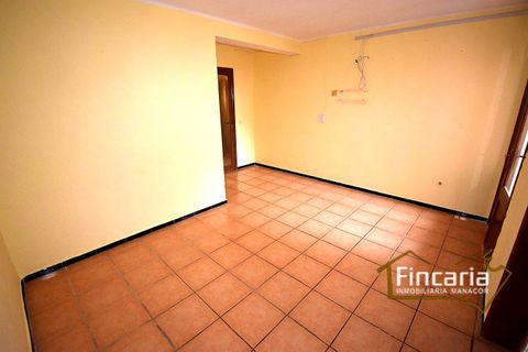 Apartment in Porto Cristo, Mallorca - photo 3
