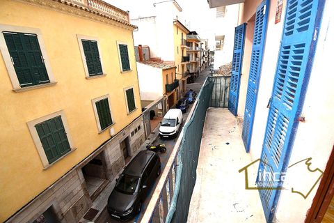 Apartment in Porto Cristo, Mallorca - photo 4