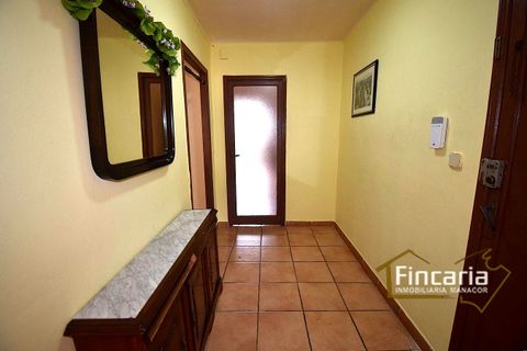 Apartment in Porto Cristo, Mallorca - photo 5