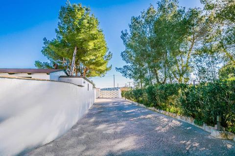 Finca i Teulada, Alicante, Teulada - € 780.000 | Ref: ES-MOR-015693 - foto 10
