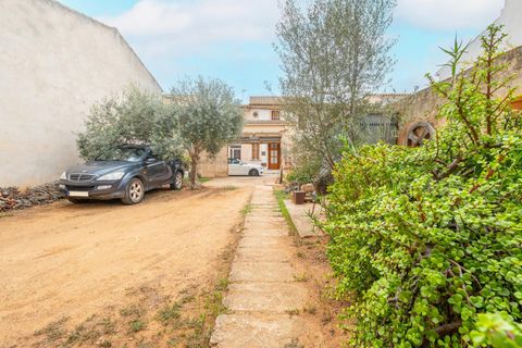 Rækkehus i Llucmajor, Mallorca, Llucmajor - € 982.000 | Ref: 56200001_MG/11003 - foto 21