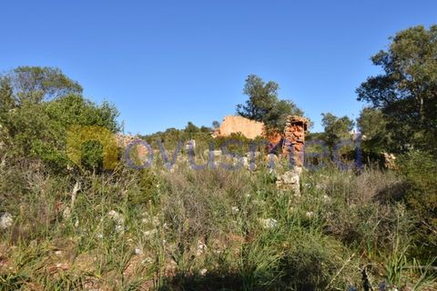 Farm i Tunes, Faro, Tunes - € 350.000 | Ref: QA-26 (PR-114) - foto 2