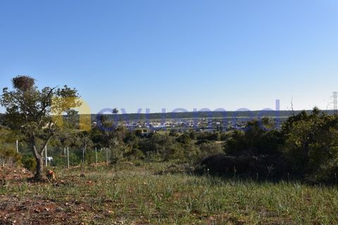 Farm i Tunes, Faro, Tunes - € 350.000 | Ref: QA-26 (PR-114) - foto 3