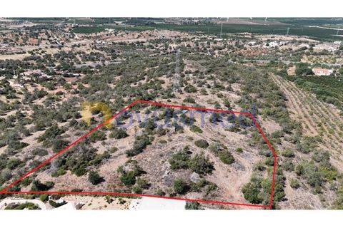 Farm i Tunes, Faro, Tunes - € 350.000 | Ref: QA-26 (PR-114) - foto 4