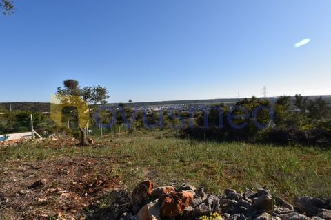 Farm i Tunes, Faro, Tunes - € 350.000 | Ref: QA-26 (PR-114) - foto 5