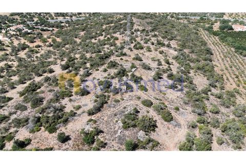 Farm i Tunes, Faro, Tunes - € 350.000 | Ref: QA-26 (PR-114) - foto 6