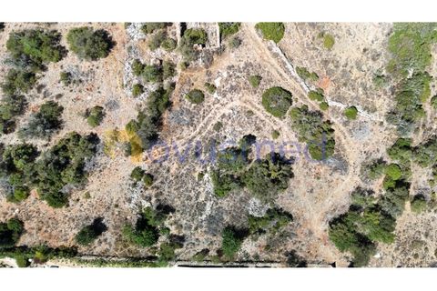 Farm i Tunes, Faro, Tunes - € 350.000 | Ref: QA-26 (PR-114) - foto 7