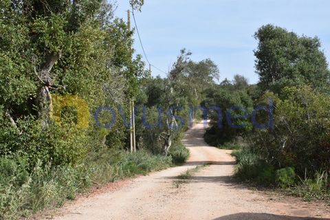 Farm i Tunes, Faro, Tunes - € 350.000 | Ref: QA-26 (PR-114) - foto 9