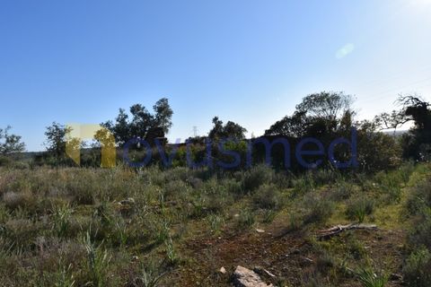 Farm i Tunes, Faro, Tunes - € 350.000 | Ref: QA-26 (PR-114) - foto 10