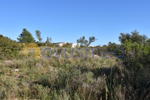 Farm i Tunes, Faro, Tunes - € 350.000 | Ref: QA-26 (PR-114) - foto 11