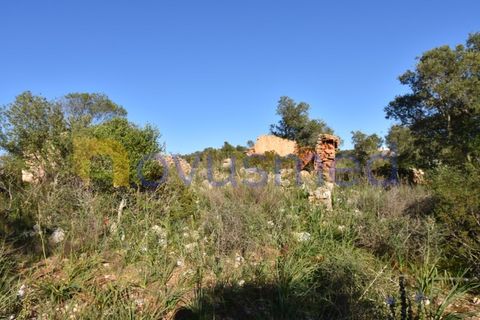 Farm i Tunes, Faro, Tunes - € 350.000 | Ref: QA-26 (PR-114) - foto 12