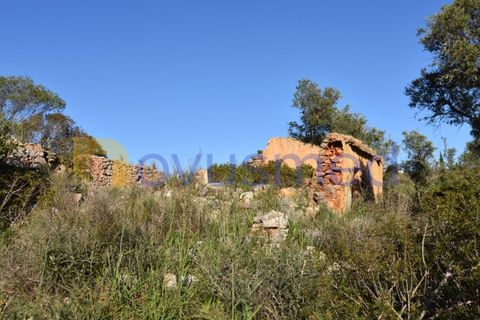 Farm i Tunes, Faro, Tunes - € 350.000 | Ref: QA-26 (PR-114) - foto 13