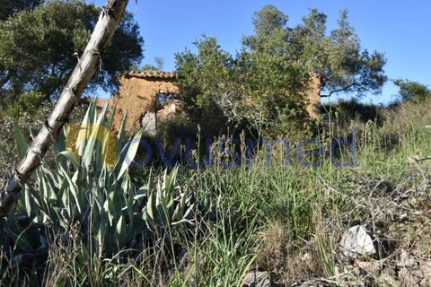 Farm i Tunes, Faro, Tunes - € 350.000 | Ref: QA-26 (PR-114) - foto 14