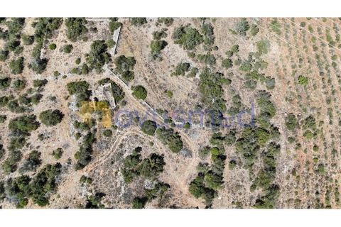 Farm i Tunes, Faro, Tunes - € 350.000 | Ref: QA-26 (PR-114) - foto 15