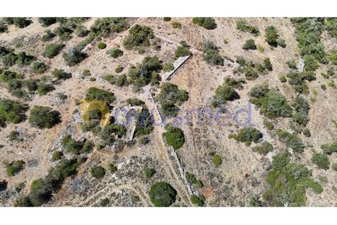 Farm i Tunes, Faro, Tunes - € 350.000 | Ref: QA-26 (PR-114) - foto 16