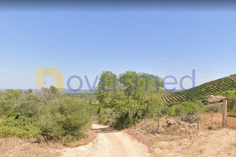 Farm i Tunes, Faro, Tunes - € 350.000 | Ref: QA-26 (PR-114) - foto 17