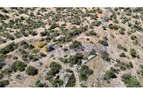 Farm i Tunes, Faro, Tunes - € 350.000 | Ref: QA-26 (PR-114) - foto 18