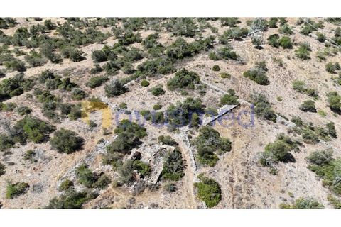 Farm i Tunes, Faro, Tunes - € 350.000 | Ref: QA-26 (PR-114) - foto 19