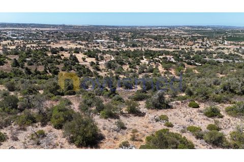 Farm i Tunes, Faro, Tunes - € 350.000 | Ref: QA-26 (PR-114) - foto 20