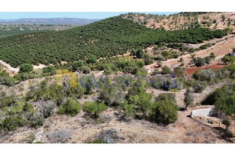 Farm i Tunes, Faro, Tunes - € 350.000 | Ref: QA-26 (PR-114) - foto 21
