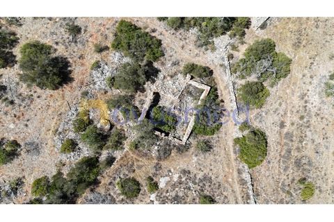 Farm i Tunes, Faro, Tunes - € 350.000 | Ref: QA-26 (PR-114) - foto 22