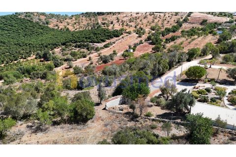 Farm i Tunes, Faro, Tunes - € 350.000 | Ref: QA-26 (PR-114) - foto 23