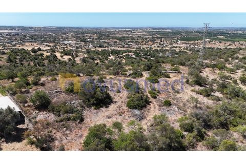 Farm i Tunes, Faro, Tunes - € 350.000 | Ref: QA-26 (PR-114) - foto 24