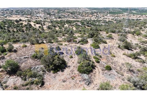 Farm i Tunes, Faro, Tunes - € 350.000 | Ref: QA-26 (PR-114) - foto 25