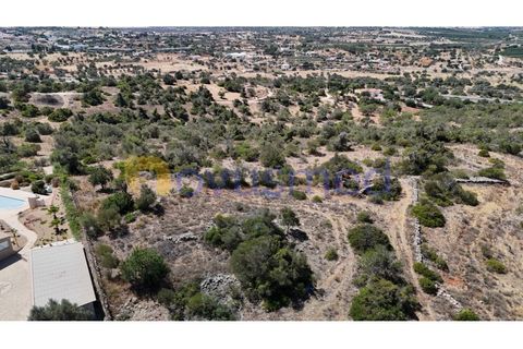Farm i Tunes, Faro, Tunes - € 350.000 | Ref: QA-26 (PR-114) - foto 26