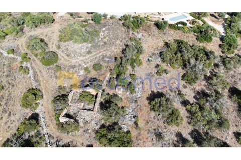 Farm i Tunes, Faro, Tunes - € 350.000 | Ref: QA-26 (PR-114) - foto 27