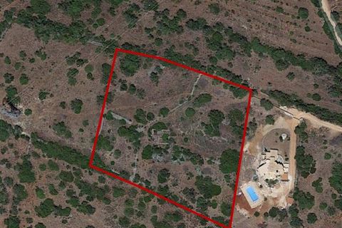 Farm i Tunes, Faro, Tunes - € 350.000 | Ref: QA-26 (PR-114) - foto 30