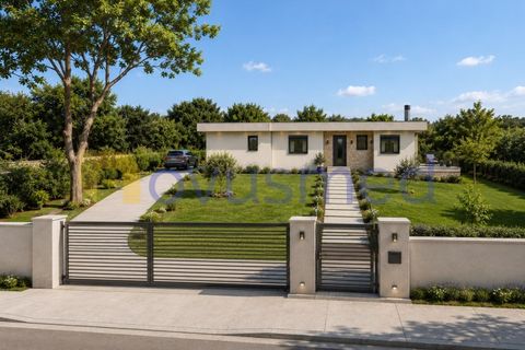 Farm i Tunes, Faro, Tunes - € 350.000 | Ref: QA-26 (PR-114) - foto 1