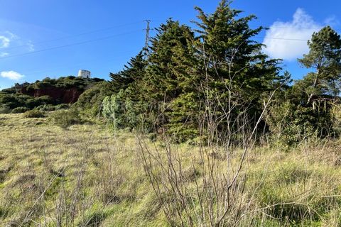 Helårsgrund i Obidos, Leiria, Obidos - € 105.000 | Ref: SS_0072 - foto 4