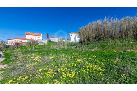 Helårsgrund i Ericeira, Lisbon, Ericeira - € 520.000 | Ref: V26025 - foto 9