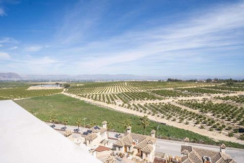 Villa i Algorfa, Alicante, Algorfa - € 965.000 | Ref: N9537 - foto 29