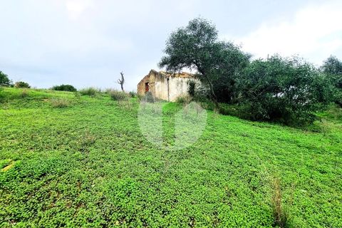 Villa a Quelfes, Faro, Quelfes - € 185.000 | Ref: 360P-1404 - foto 6