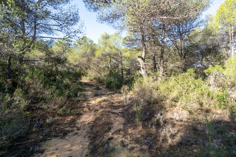Finca i Corachar, Castellon, Corachar - € 65.000 | Ref: 326 - foto 3
