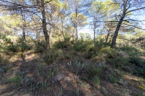 Finca i Corachar, Castellon, Corachar - € 65.000 | Ref: 326 - foto 6