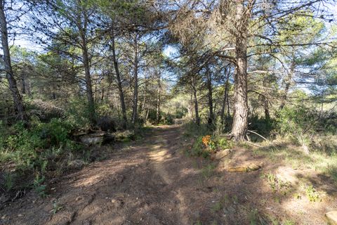 Finca i Corachar, Castellon, Corachar - € 65.000 | Ref: 326 - foto 1