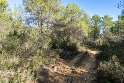 Finca i Corachar, Castellon, Corachar - € 65.000 | Ref: 326 - foto 5