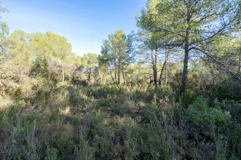 Finca i Corachar, Castellon, Corachar - € 65.000 | Ref: 326 - foto 4