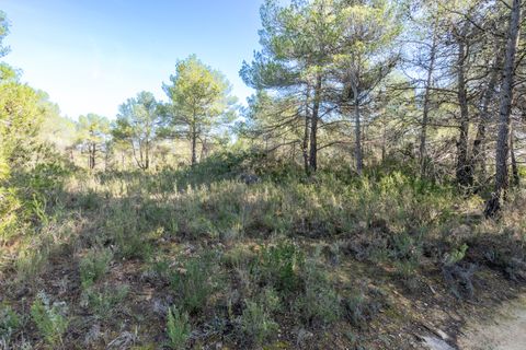 Finca i Corachar, Castellon, Corachar - € 65.000 | Ref: 326 - foto 2