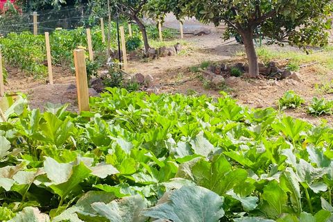 Landejendom i Telde, Gran Canaria, Telde - € 850.000 | Ref: 2026 - foto 19