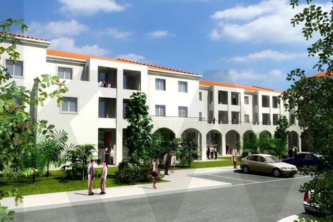 Helårsgrund i Coruche, Santarem, Coruche - € 270.000 | Ref: KWPT-026841 - foto 11