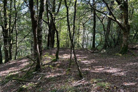 Farm hus i Arnac-Pompadour, Correze, Arnac-Pompadour - € 169.800 | Ref: PM-5316B - foto 13