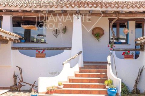 Farm hus i Galtelli, Nuoro, Galtelli - € 1.990.000 | Ref: AZ394 - foto 6