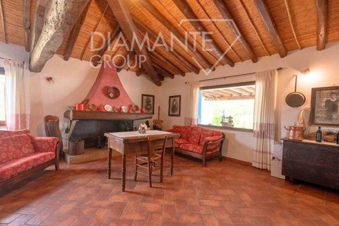 Farm hus i Galtelli, Nuoro, Galtelli - € 1.990.000 | Ref: AZ394 - foto 11