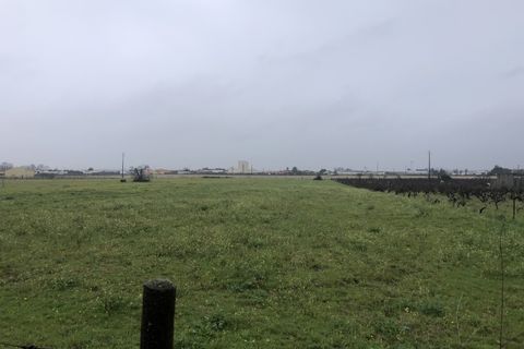 Helårsgrund i Alpiarca, Santarem, Alpiarca - € 75.000 | Ref: SÒL_8 - foto 3