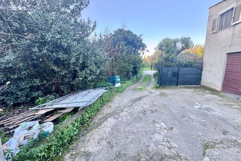 Helårsgrund i Palermo, Palermo, Palermo - € 49.000 | Ref: 54279431 - foto 3