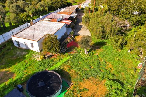 Villa i Olhao, Faro, Olhao - € 350.000 | Ref: 273260005 - foto 16